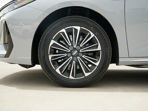 2025�� 70km ��׼��