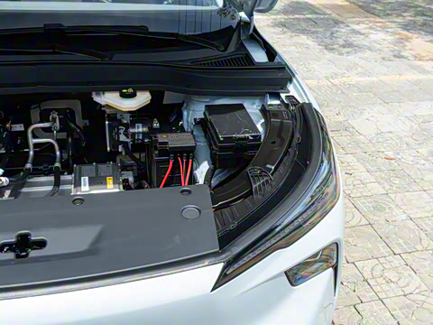 2025�� 445km ���ð�