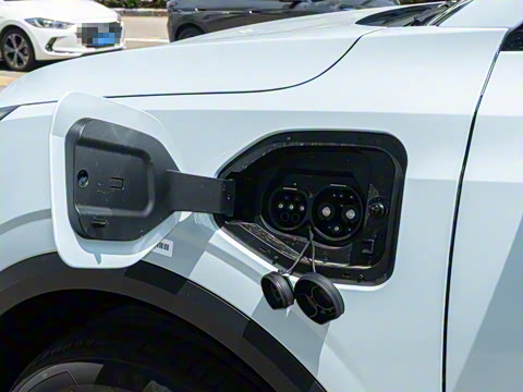 2025�� 445km ���ð�