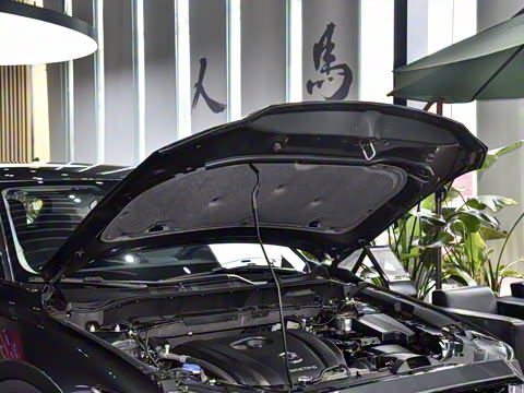 2025�� 2.0L �Զ�����������