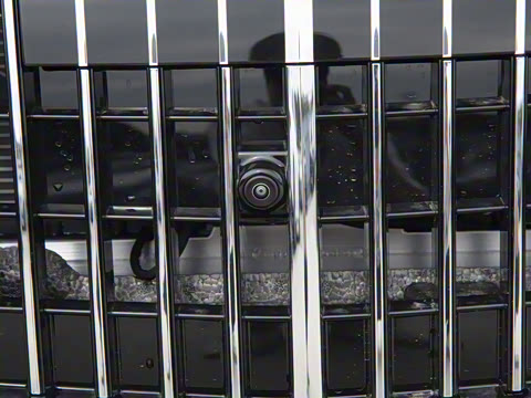 2025�� S 480 4MATIC