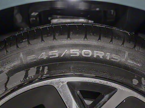 2024�� Max ���������Ǽݰ�