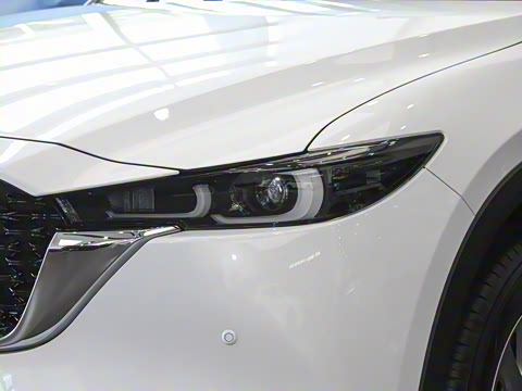 2024�� 2.0L �Զ���������Pro