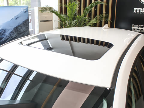 2024�� 2.0L �Զ���������Pro