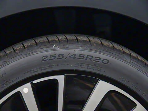 2024�� ������������