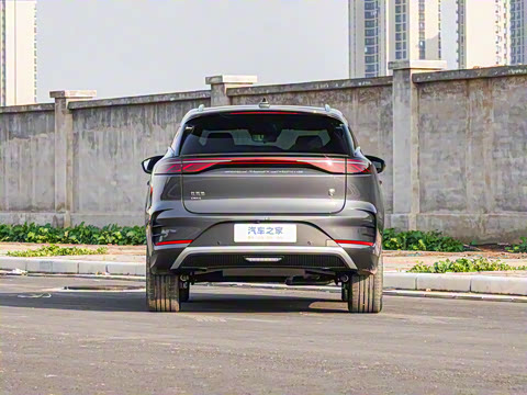 2025�� DM-i 115KM �����