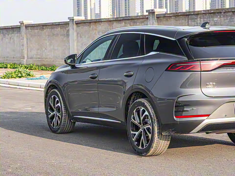 2025�� DM-i 115KM �����