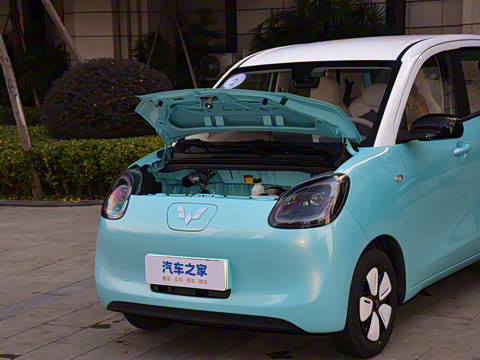 2025�� ���Ű� ����+��