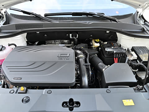2025�� ��ҫ�� 1.5T ������