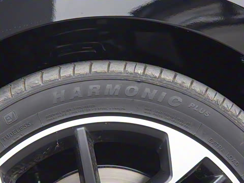 2025�� 520�����״��