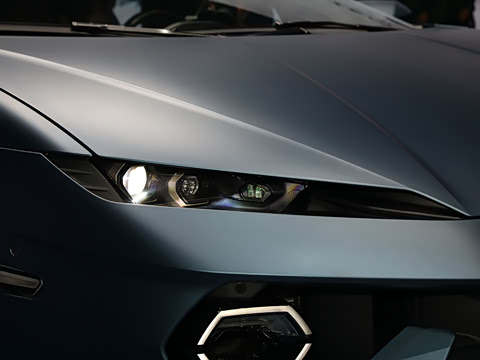 2025�� ������