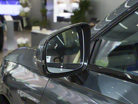 2025�� ���� 265 Pro�������ٸ�����ʻ