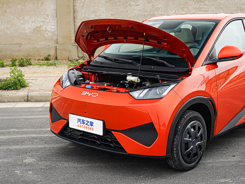 2026�� 305km ������