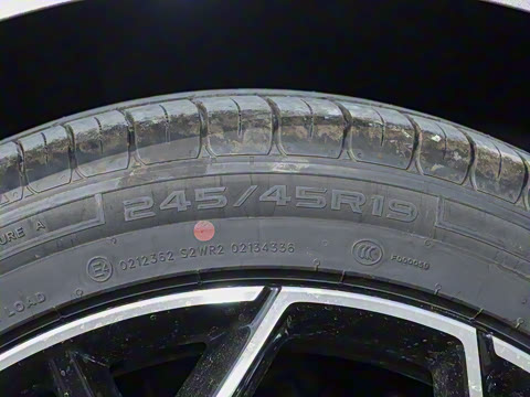 2026�� �����������̰� 310�콢��