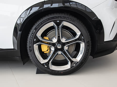 2025�� ������������Pro��