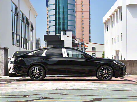 2025�� �Ǽݰ� DM-i 1.5L 125km �����