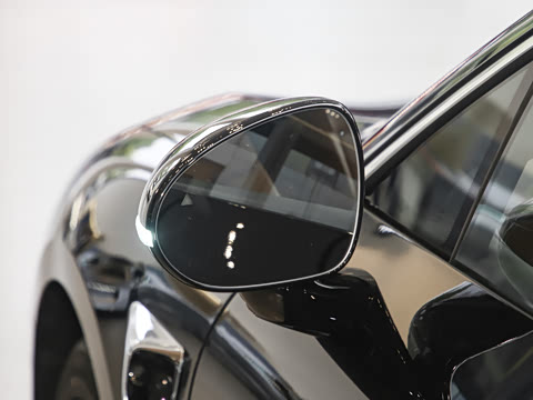 2025�� ���� Max