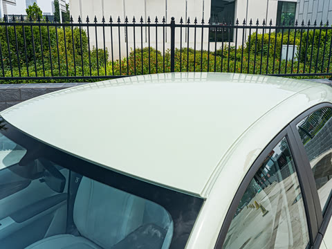 2026�� 310km ������