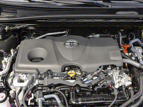 2026�� ˫�� 2.5HG ����