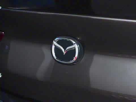 2025�� 2.0L �Զ����Ű�