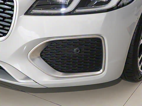 2025�� 2.0T P250 ��������������