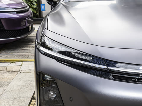 2025�� ������