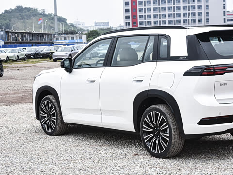 2026�� 210 ���װ�