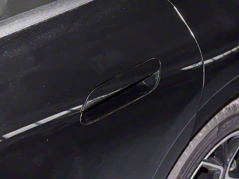 2026�� �����������̰� 310������