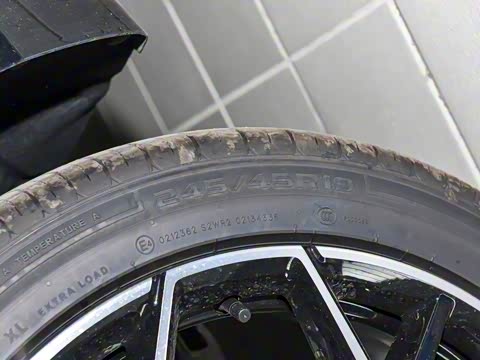 2026�� �����������̰� 310������