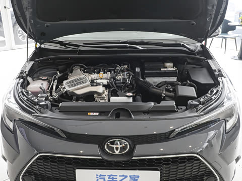 2026�� ����L 185T ������