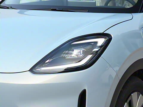 2025�� 325km ������