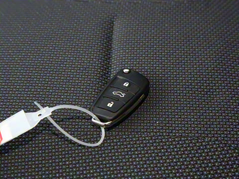 2026�� 2.0L CNG�ֶ�������