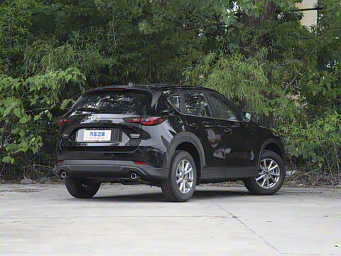 2025�� 2.0L �Զ���������Pro