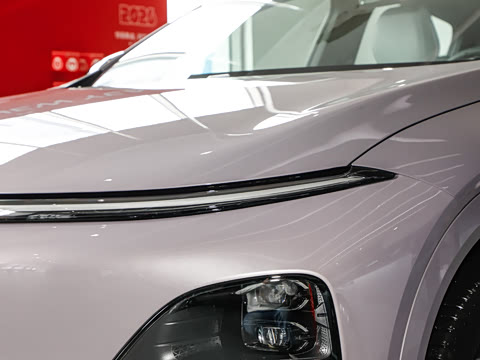 2026�� 625 Max �콢��