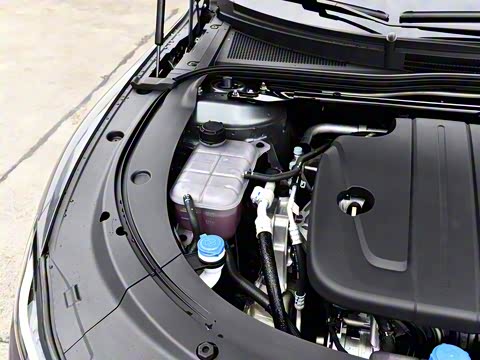 2026�� �����������̰� 310�콢��