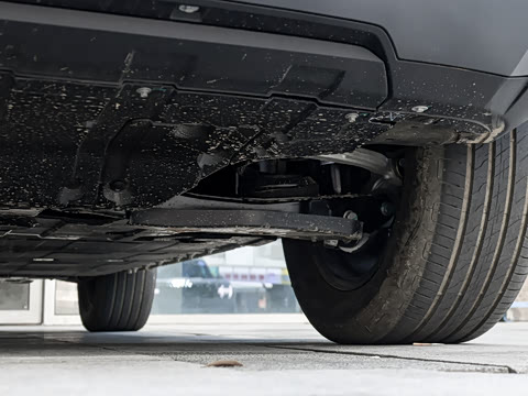 2026�� ��̲�����