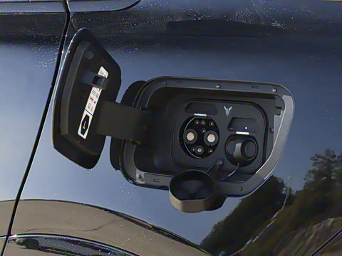 2025�� FREE+ �����˶����ư�