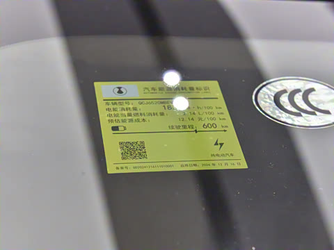 2025�� EV �Ǽݰ� 600 ���������