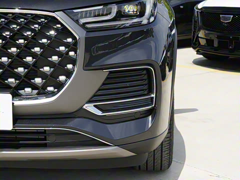 2025�� 290TGDI DCT����� 