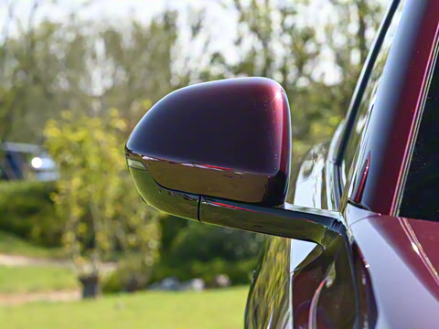 2026�� ���� Max�������� 6��