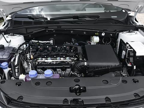 2026�� 1.5L �������� ������