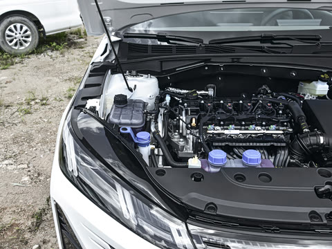 2026�� 1.5L �������� ������