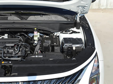 2026�� ��� 2.0L ������DLX