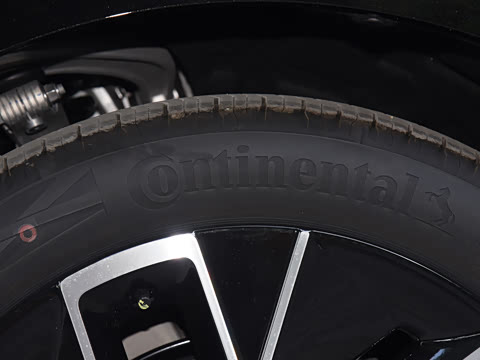 2025�� Max �����