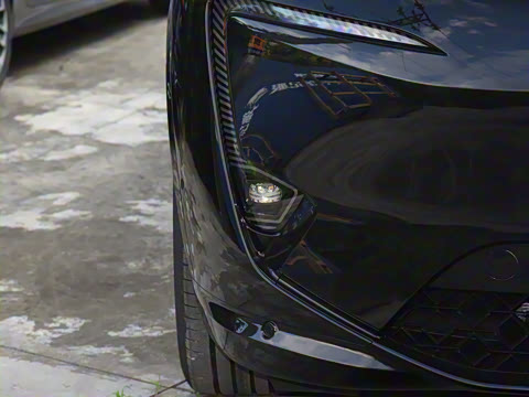 2025�� Max �����