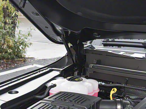 2025�� ������-��Ұ 5��