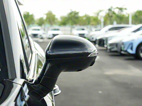 2025�� 2.0T PHEV ����200��������� 7��