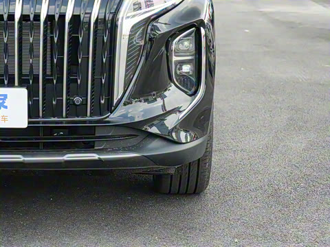 2025�� 2.0T PHEV ����200��������� 7��