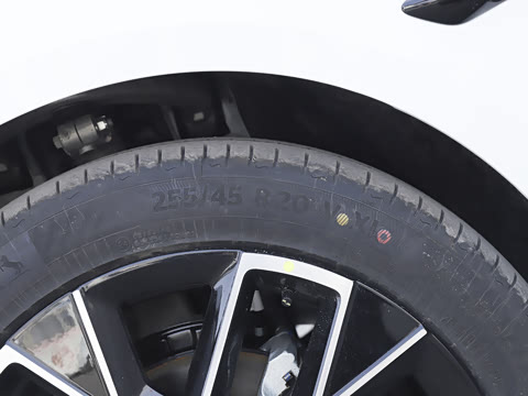 2025�� Elite�����