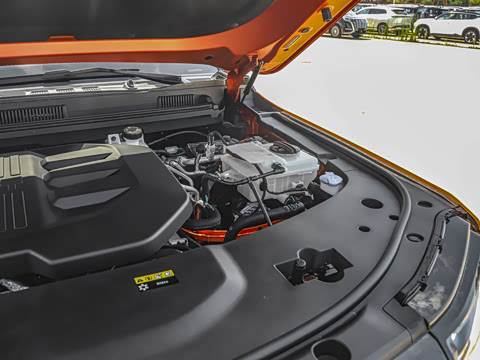 2025�� ̽Ұ�� 5��